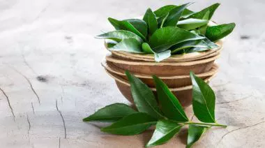 garnishing-instructions-image
